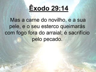 Êxodo 29:14
Mas a carne do novilho, e a sua
pele, e o seu esterco queimarás
com fogo fora do arraial; é sacrifício
pelo pecado.
 