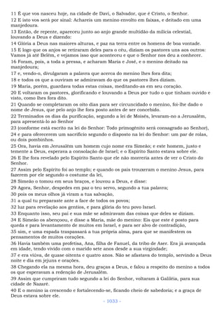 Bíblia sagrada (port br)