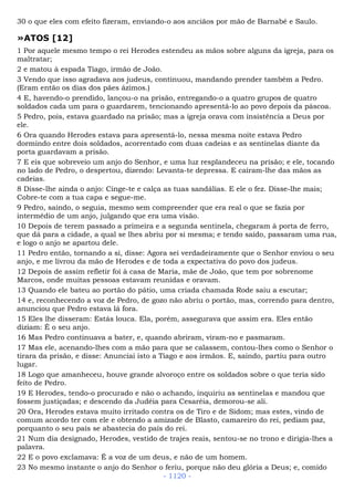 Bíblia sagrada (port br)