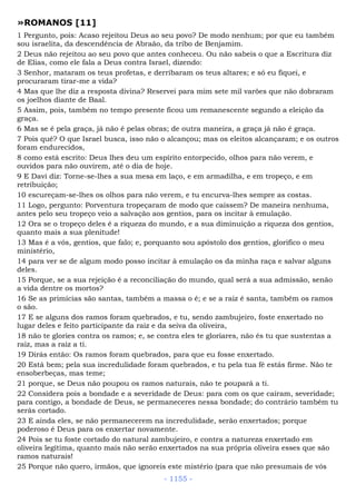 Bíblia sagrada (port br)