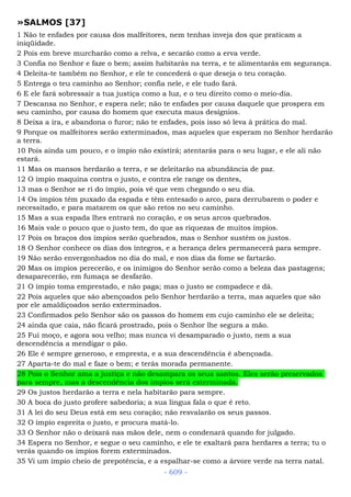 Bíblia sagrada (port br)