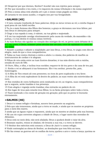 Bíblia sagrada (port br)