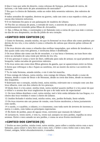 Bíblia sagrada (port br)