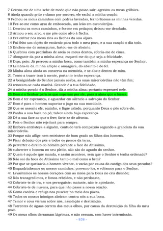 Bíblia sagrada (port br)