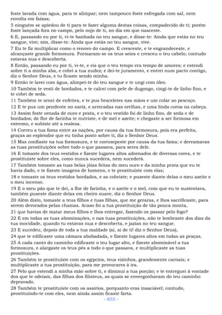 Bíblia sagrada (port br)