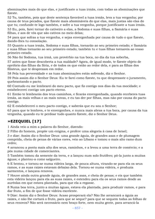 Bíblia sagrada (port br)