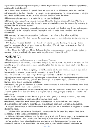 Bíblia sagrada (port br)