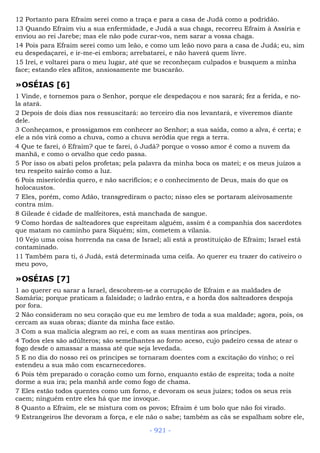 Bíblia sagrada (port br)