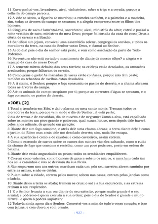 Bíblia sagrada (port br)