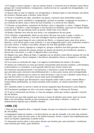 Bíblia sagrada (port br)