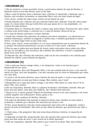 Bíblia sagrada (port br)