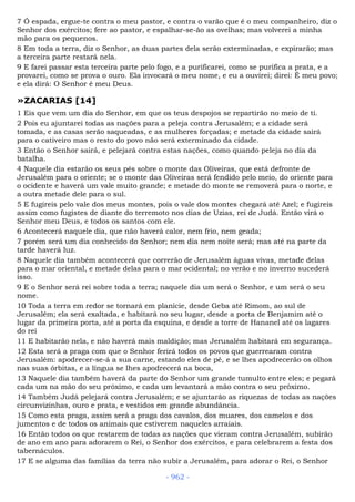 Bíblia sagrada (port br)