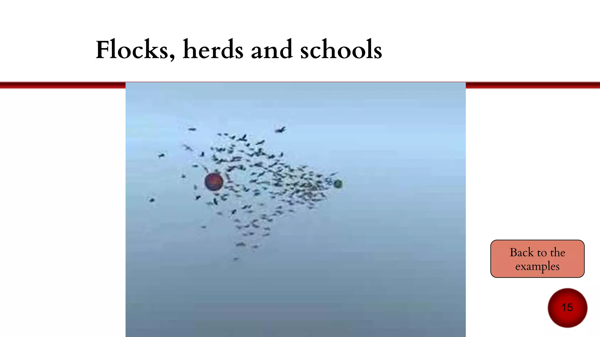 Independant explorer robots
15Luc Steels: Cooperation between distributed agents through self-organisation. In IEEE International Workshop on
Intelligent Robots and Systems ’90. ’Towards a New Frontier of Applications’, jul 1990.
 