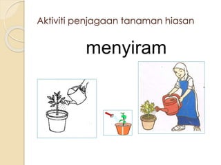 Aktiviti penjagaan tanaman hiasan 
menyiram 
 