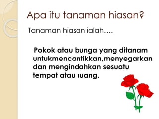 Apa itu tanaman hiasan? 
Tanaman hiasan ialah…. 
Pokok atau bunga yang ditanam 
untukmencantikkan,menyegarkan 
dan mengindahkan sesuatu 
tempat atau ruang. 
 