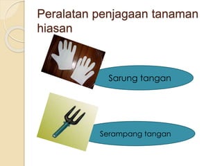 Peralatan penjagaan tanaman 
hiasan 
Sarung tangan 
Serampang tangan 
 