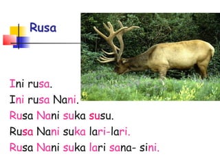Rusa
Ini rusa.
Ini rusa Nani.
Rusa Nani suka susu.
Rusa Nani suka lari-lari.
Rusa Nani suka lari sana- sini.
 