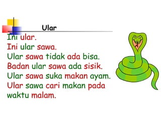 Ular
Ini ular.
Ini ular sawa.
Ular sawa tidak ada bisa.
Badan ular sawa ada sisik.
Ular sawa suka makan ayam.
Ular sawa cari makan pada
waktu malam.
 