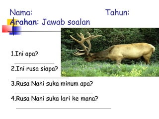 1.Ini apa?
2.Ini rusa siapa?
3.Rusa Nani suka minum apa?
4.Rusa Nani suka lari ke mana?
Nama: Tahun:
Arahan: Jawab soalan
 