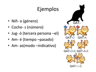 Ejemplos
• Niñ- o (género)
• Coche- s (número)
• Jug- ó (tercera persona –el)
• Am- é (tiempo –pasado)
• Am- as(modo –indicativo)
 