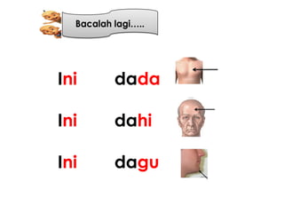 Ini   dada

Ini   dahi

Ini   dagu
 