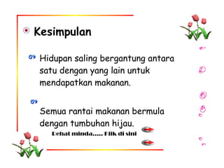 Kesimpulan   Hidupan saling bergantung antara satu dengan yang lain untuk mendapatkan makanan. Semua rantai makanan bermula dengan tumbuhan hijau. Rehat minda….. Klik di sini 