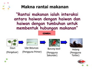 Makna rantai makanan “ Rantai makanan ialah interaksi antara haiwan dengan haiwan dan haiwan dengan tumbuhan untuk membentuk hubungan makanan” CONTOH : Daun (Pengeluar)  Ulat Beluncas Burung kecil (Pengguna Primer) (Pengguna Sekunder) Helang (Pengguna Tertier) 