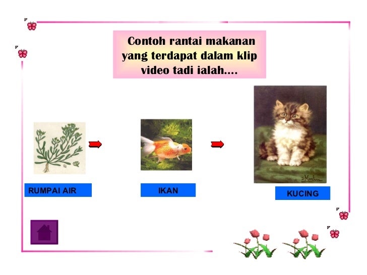 Bbm sains tahun 5