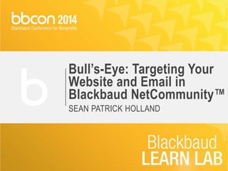 Bull’s-Eye: Targeting Your 
Website and Email in 
Blackbaud NetCommunity™ 
SEAN PATRICK HOLLAND 
 