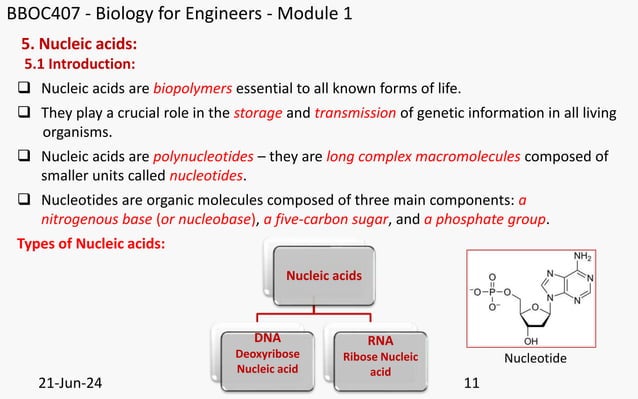 BBOC407 Module 1.pptx Biology for Engineers | PPTX