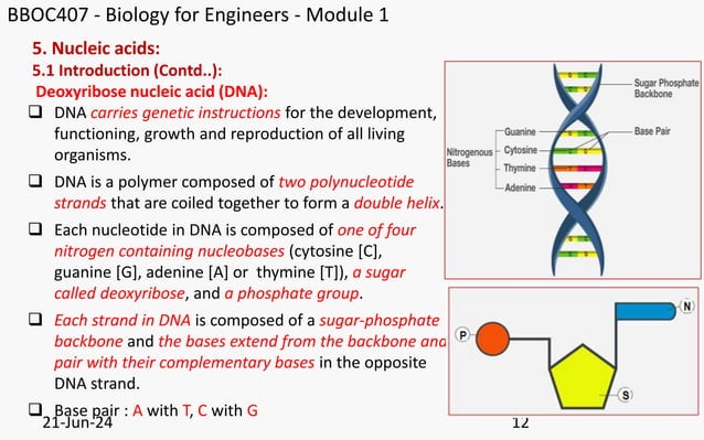 BBOC407 Module 1.pptx Biology for Engineers | PPTX
