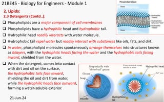 BBOC407 Module 1.pptx Biology for Engineers | PPTX