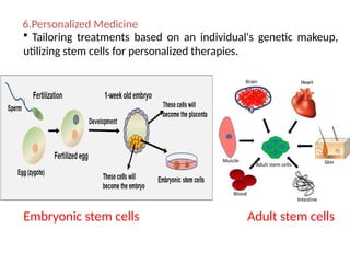 6.Personalized Medicine
 Tailoring treatments based on an individual's genetic makeup,
utilizing stem cells for personalized therapies.
Embryonic stem cells Adult stem cells
 