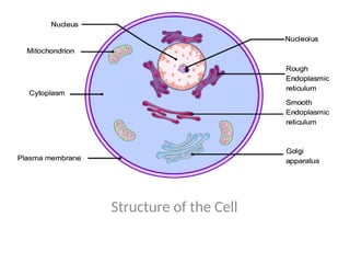 Structure of the Cell
 