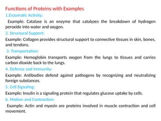 Functions of Proteins with Examples
1.Enzymatic Activity:
Example: Catalase is an enzyme that catalyzes the breakdown of hydrogen
peroxide into water and oxygen.
2. Structural Support:
Example: Collagen provides structural support to connective tissues in skin, bones,
and tendons.
3. Transportation:
Example: Hemoglobin transports oxygen from the lungs to tissues and carries
carbon dioxide back to the lungs.
4. Defense and Immunity:
Example: Antibodies defend against pathogens by recognizing and neutralizing
foreign substances.
5. Cell Signaling:
Example: Insulin is a signaling protein that regulates glucose uptake by cells.
6. Motion and Contraction:
Example: Actin and myosin are proteins involved in muscle contraction and cell
movement.
 