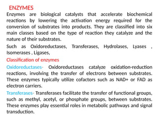 ENZYMES
Enzymes are biological catalysts that accelerate biochemical
reactions by lowering the activation energy required for the
conversion of substrates into products. They are classified into six
main classes based on the type of reaction they catalyze and the
nature of their substrates.
Such as Oxidoreductases, Transferases, Hydrolases, Lyases ,
Isomerases , Ligases,
Classification of enzymes
Oxidoreductases- Oxidoreductases catalyze oxidation-reduction
reactions, involving the transfer of electrons between substrates.
These enzymes typically utilize cofactors such as NAD+ or FAD as
electron carriers.
Transferases- Transferases facilitate the transfer of functional groups,
such as methyl, acetyl, or phosphate groups, between substrates.
These enzymes play essential roles in metabolic pathways and signal
transduction.
 