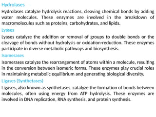 Hydrolases
Hydrolases catalyze hydrolysis reactions, cleaving chemical bonds by adding
water molecules. These enzymes are involved in the breakdown of
macromolecules such as proteins, carbohydrates, and lipids.
Lyases
Lyases catalyze the addition or removal of groups to double bonds or the
cleavage of bonds without hydrolysis or oxidation-reduction. These enzymes
participate in diverse metabolic pathways and biosynthesis.
Isomerases
Isomerases catalyze the rearrangement of atoms within a molecule, resulting
in the conversion between isomeric forms. These enzymes play crucial roles
in maintaining metabolic equilibrium and generating biological diversity.
Ligases (Synthetases)
Ligases, also known as synthetases, catalyze the formation of bonds between
molecules, often using energy from ATP hydrolysis. These enzymes are
involved in DNA replication, RNA synthesis, and protein synthesis.
 