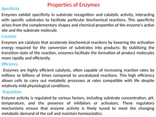 Properties of Enzymes
Specificity
Enzymes exhibit specificity in substrate recognition and catalytic activity, interacting
with specific substrates to facilitate particular biochemical reactions. This specificity
arises from the complementary shapes and chemical properties of the enzyme's active
site and the substrate molecule.
Catalytic
Enzymes are catalysts that accelerate biochemical reactions by lowering the activation
energy required for the conversion of substrates into products. By stabilizing the
transition state of the reaction, enzymes facilitate the formation of product molecules
more rapidly and efficiently.
Efficiency
Enzymes are highly efficient catalysts, often capable of increasing reaction rates by
millions to billions of times compared to uncatalyzed reactions. This high efficiency
allows cells to carry out metabolic processes at rates compatible with life despite
relatively mild physiological conditions.
Regulation
Enzyme activity is regulated by various factors, including substrate concentration, pH,
temperature, and the presence of inhibitors or activators. These regulatory
mechanisms ensure that enzyme activity is finely tuned to meet the changing
metabolic demand of the cell and maintain homeostatics.
 