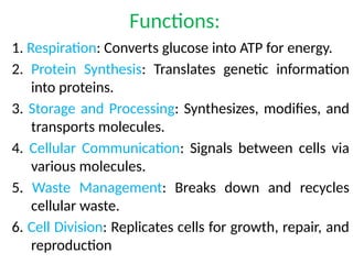 Functions:
1. Respiration: Converts glucose into ATP for energy.
2. Protein Synthesis: Translates genetic information
into proteins.
3. Storage and Processing: Synthesizes, modifies, and
transports molecules.
4. Cellular Communication: Signals between cells via
various molecules.
5. Waste Management: Breaks down and recycles
cellular waste.
6. Cell Division: Replicates cells for growth, repair, and
reproduction
 