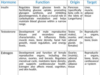 Hormone Function Origin Target
Insulin Regulates blood glucose levels by
facilitating glucose uptake, promoting
glycogen synthesis, and inhibiting
gluconeogenesis. It plays a crucial role in
carbohydrate metabolism and helps
maintain blood glucose within a narrow
range.
Pancreas
(specifically
beta cells in
the islets of
Langerhans)
Liver,
muscle,
adipose
tissue
Testosterone Development of male reproductive
tissues and secondary sexual
characteristics. It influences libido,
muscle mass, bone density, facial hair
growth, mood regulation, and energy
levels.
Testes (in
males),
ovaries and
adrenal
glands (in
females)
Reproductiv
e organs,
muscle,
bone, brain
Estrogen Development and function of female
reproductive organs, including the
uterus, ovaries, and breasts. Regulates
menstrual cycle, maintains bone density,
and supports cardiovascular health.
Estrogen also affects mood, cognition,
and skin health.
Ovaries
(mainly),
adrenal
glands,
adipose
tissue
Reproductiv
e organs,
bone, brain,
cardiovascul
a r system
 