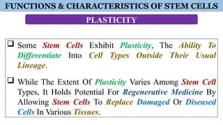 Plasticity Function BBOC407 BIOLOGY FOR ENGINEERS (CS) - MODULE 1 PART 1.pptx