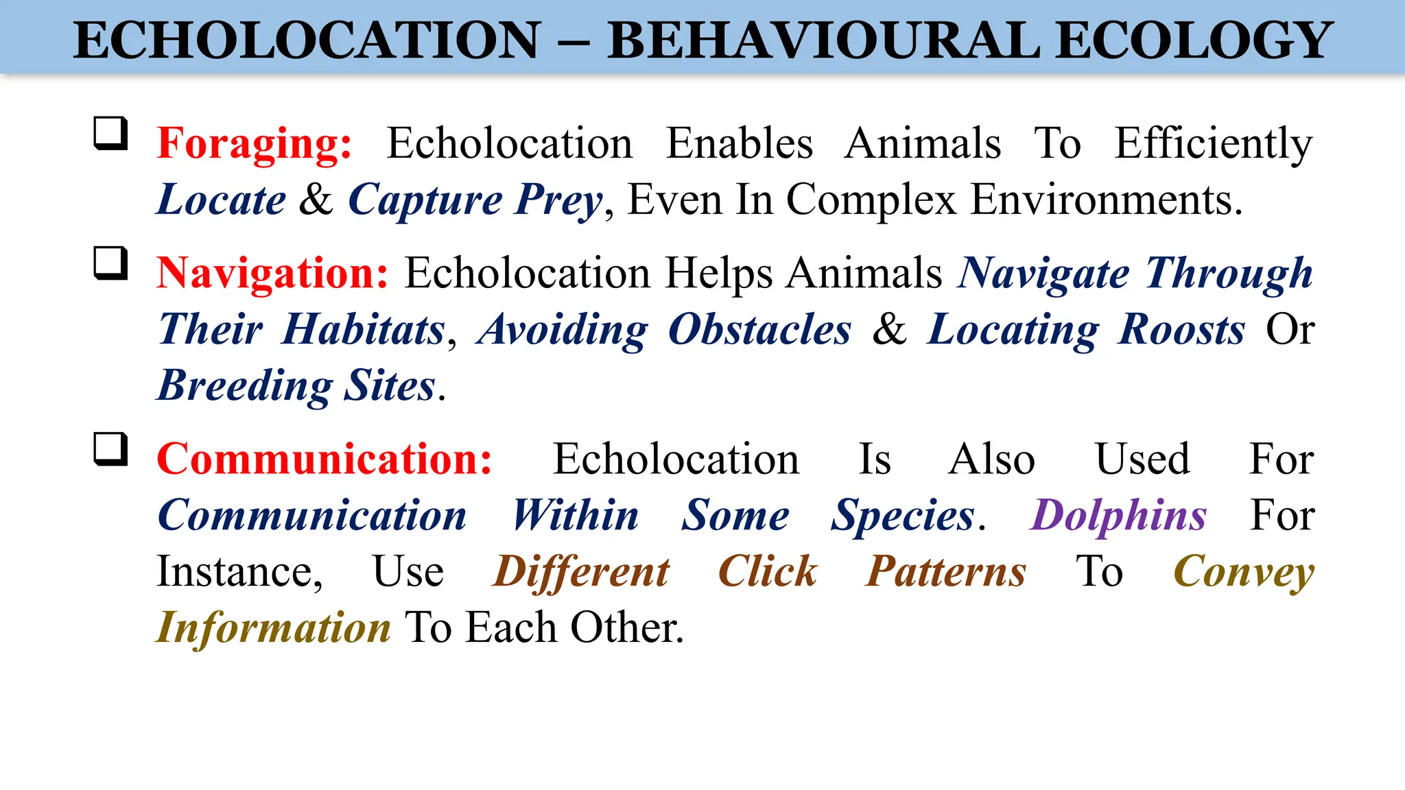 ECHOLOCATION – BEHAVIOURAL ECOLOGY
 Foraging: Echolocation Enables Animals To Efficiently
Locate & Capture Prey, Even In Complex Environments.
 Navigation: Echolocation Helps Animals Navigate Through
Their Habitats, Avoiding Obstacles & Locating Roosts Or
Breeding Sites.
 Communication: Echolocation Is Also Used For
Communication Within Some Species. Dolphins For
Instance, Use Different Click Patterns To Convey
Information To Each Other.
 