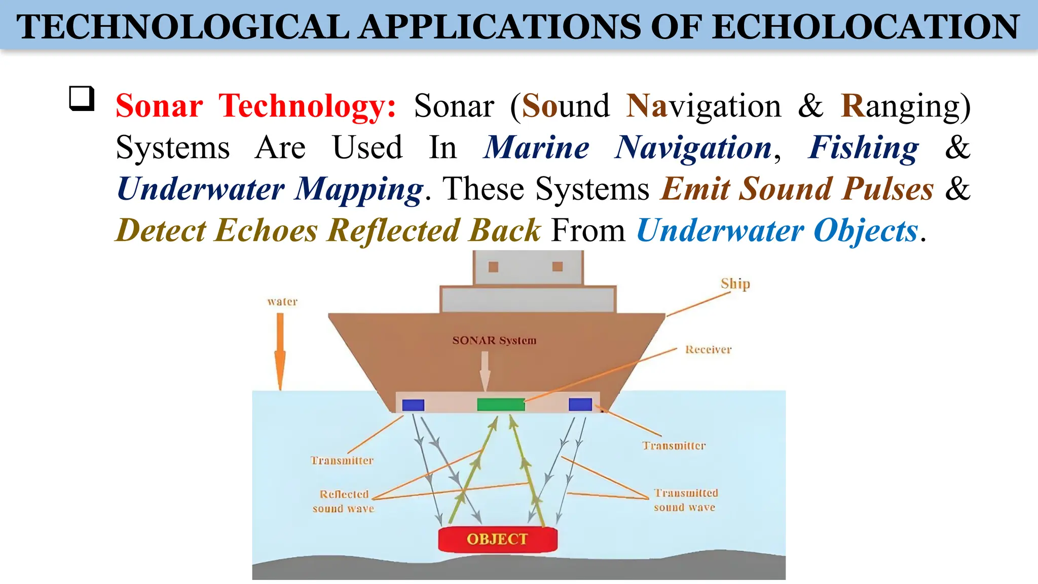 TECHNOLOGICAL APPLICATIONS OF ECHOLOCATION
 Sonar Technology: Sonar (Sound Navigation & Ranging)
Systems Are Used In Marine Navigation, Fishing &
Underwater Mapping. These Systems Emit Sound Pulses &
Detect Echoes Reflected Back From Underwater Objects.
 