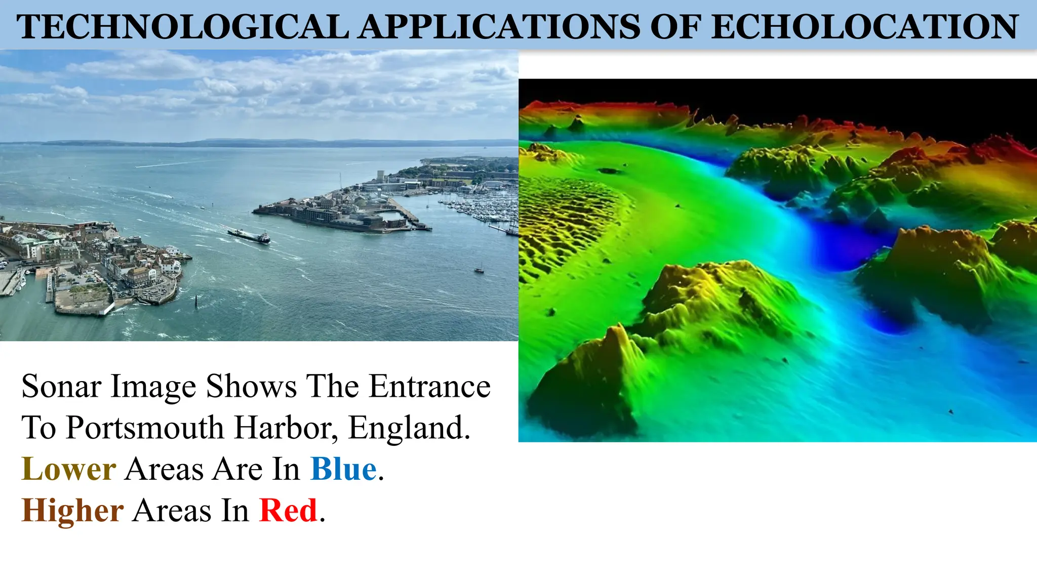 TECHNOLOGICAL APPLICATIONS OF ECHOLOCATION
Sonar Image Shows The Entrance
To Portsmouth Harbor, England.
Lower Areas Are In Blue.
Higher Areas In Red.
 