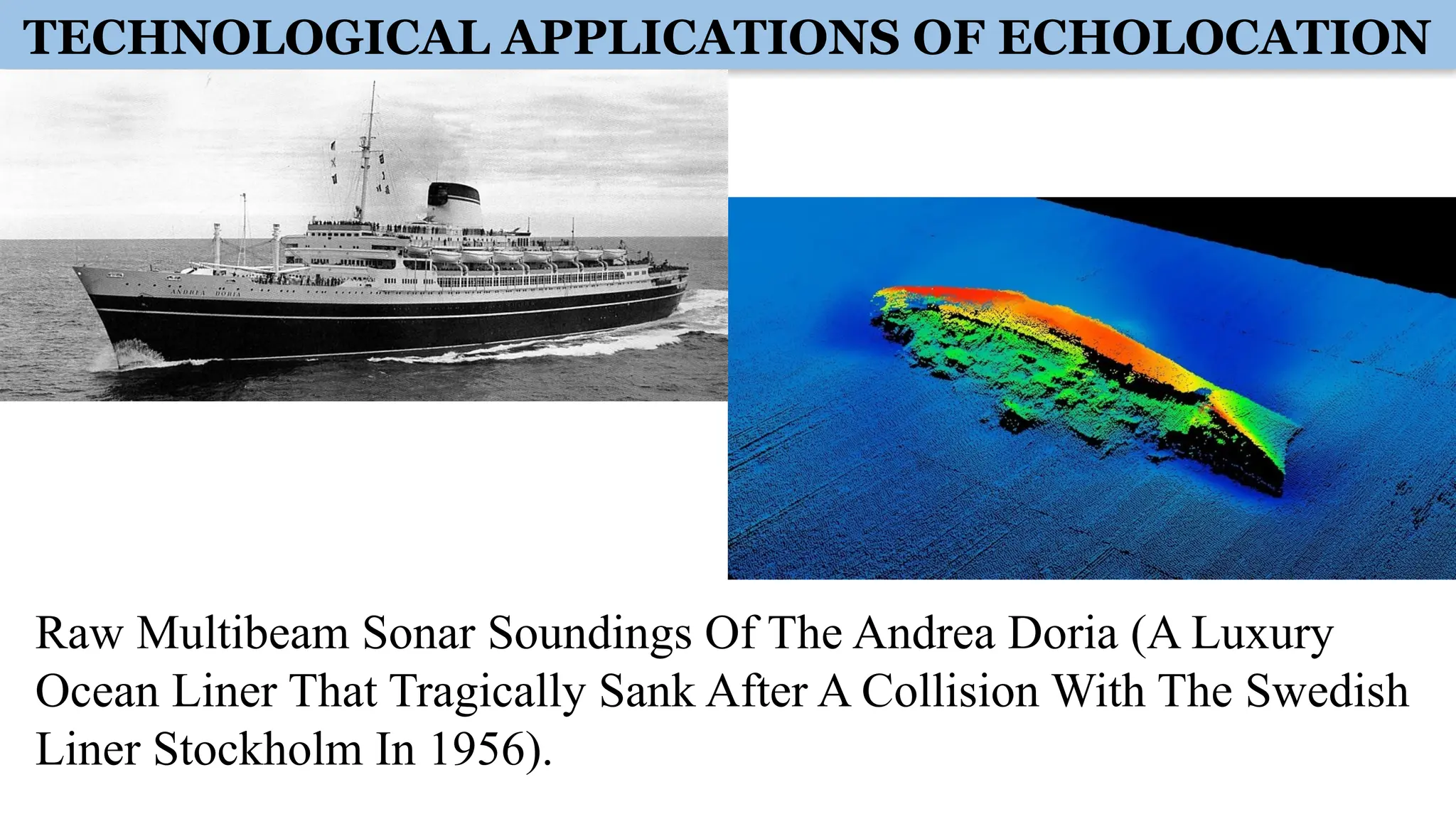 TECHNOLOGICAL APPLICATIONS OF ECHOLOCATION
Raw Multibeam Sonar Soundings Of The Andrea Doria (A Luxury
Ocean Liner That Tragically Sank After A Collision With The Swedish
Liner Stockholm In 1956).
 