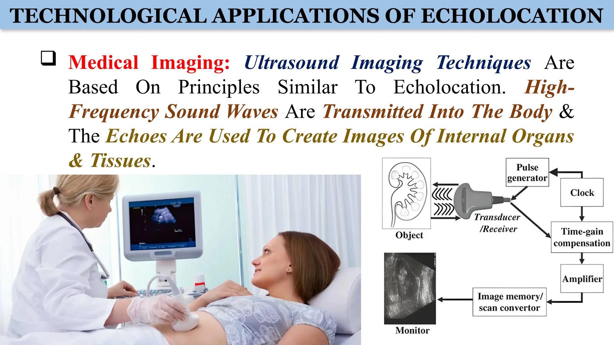 TECHNOLOGICAL APPLICATIONS OF ECHOLOCATION
 Medical Imaging: Ultrasound Imaging Techniques Are
Based On Principles Similar To Echolocation. High-
Frequency Sound Waves Are Transmitted Into The Body &
The Echoes Are Used To Create Images Of Internal Organs
& Tissues.
 