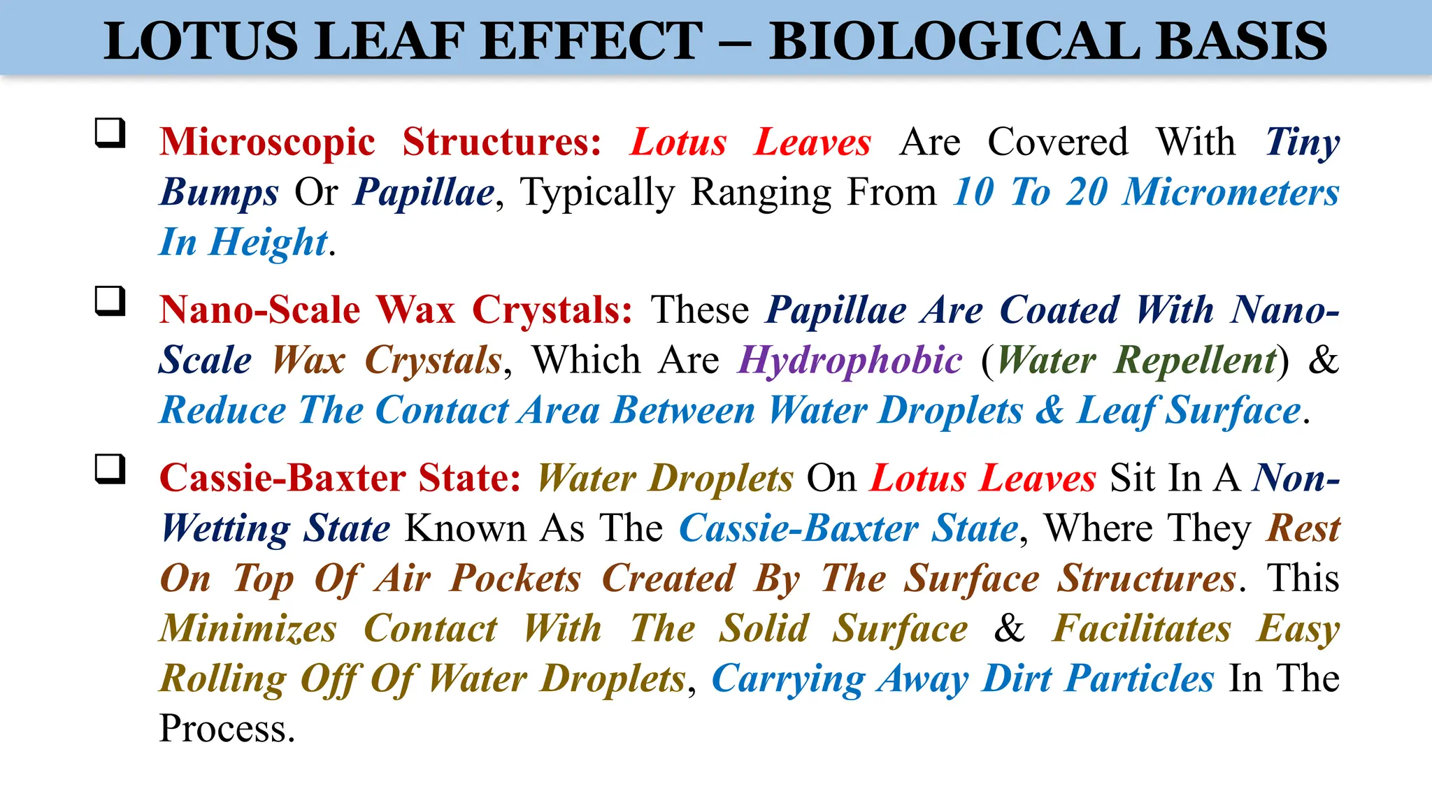 LOTUS LEAF EFFECT – BIOLOGICAL BASIS
 Microscopic Structures: Lotus Leaves Are Covered With Tiny
Bumps Or Papillae, Typically Ranging From 10 To 20 Micrometers
In Height.
 Nano-Scale Wax Crystals: These Papillae Are Coated With Nano-
Scale Wax Crystals, Which Are Hydrophobic (Water Repellent) &
Reduce The Contact Area Between Water Droplets & Leaf Surface.
 Cassie-Baxter State: Water Droplets On Lotus Leaves Sit In A Non-
Wetting State Known As The Cassie-Baxter State, Where They Rest
On Top Of Air Pockets Created By The Surface Structures. This
Minimizes Contact With The Solid Surface & Facilitates Easy
Rolling Off Of Water Droplets, Carrying Away Dirt Particles In The
Process.
 