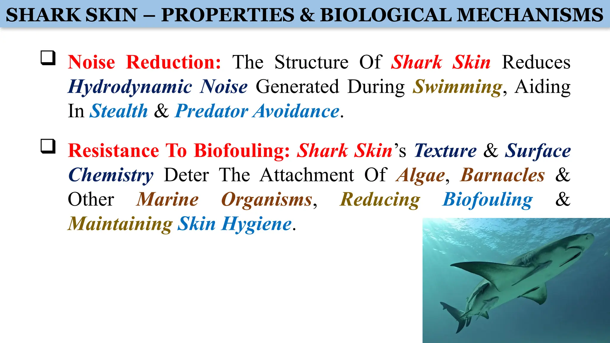SHARK SKIN – PROPERTIES & BIOLOGICAL MECHANISMS
 Noise Reduction: The Structure Of Shark Skin Reduces
Hydrodynamic Noise Generated During Swimming, Aiding
In Stealth & Predator Avoidance.
 Resistance To Biofouling: Shark Skin’s Texture & Surface
Chemistry Deter The Attachment Of Algae, Barnacles &
Other Marine Organisms, Reducing Biofouling &
Maintaining Skin Hygiene.
 