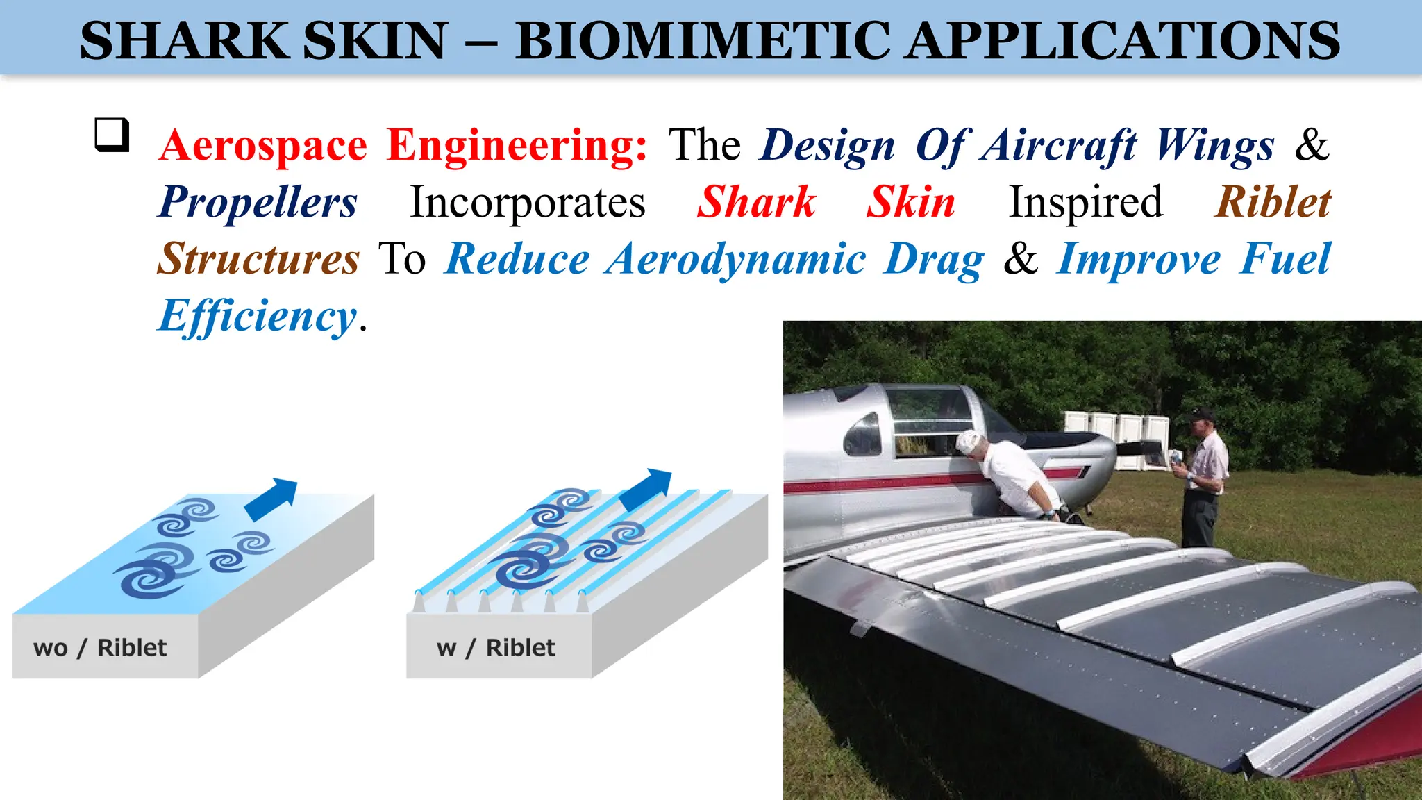  Aerospace Engineering: The Design Of Aircraft Wings &
Propellers Incorporates Shark Skin Inspired Riblet
Structures To Reduce Aerodynamic Drag & Improve Fuel
Efficiency.
SHARK SKIN – BIOMIMETIC APPLICATIONS
 