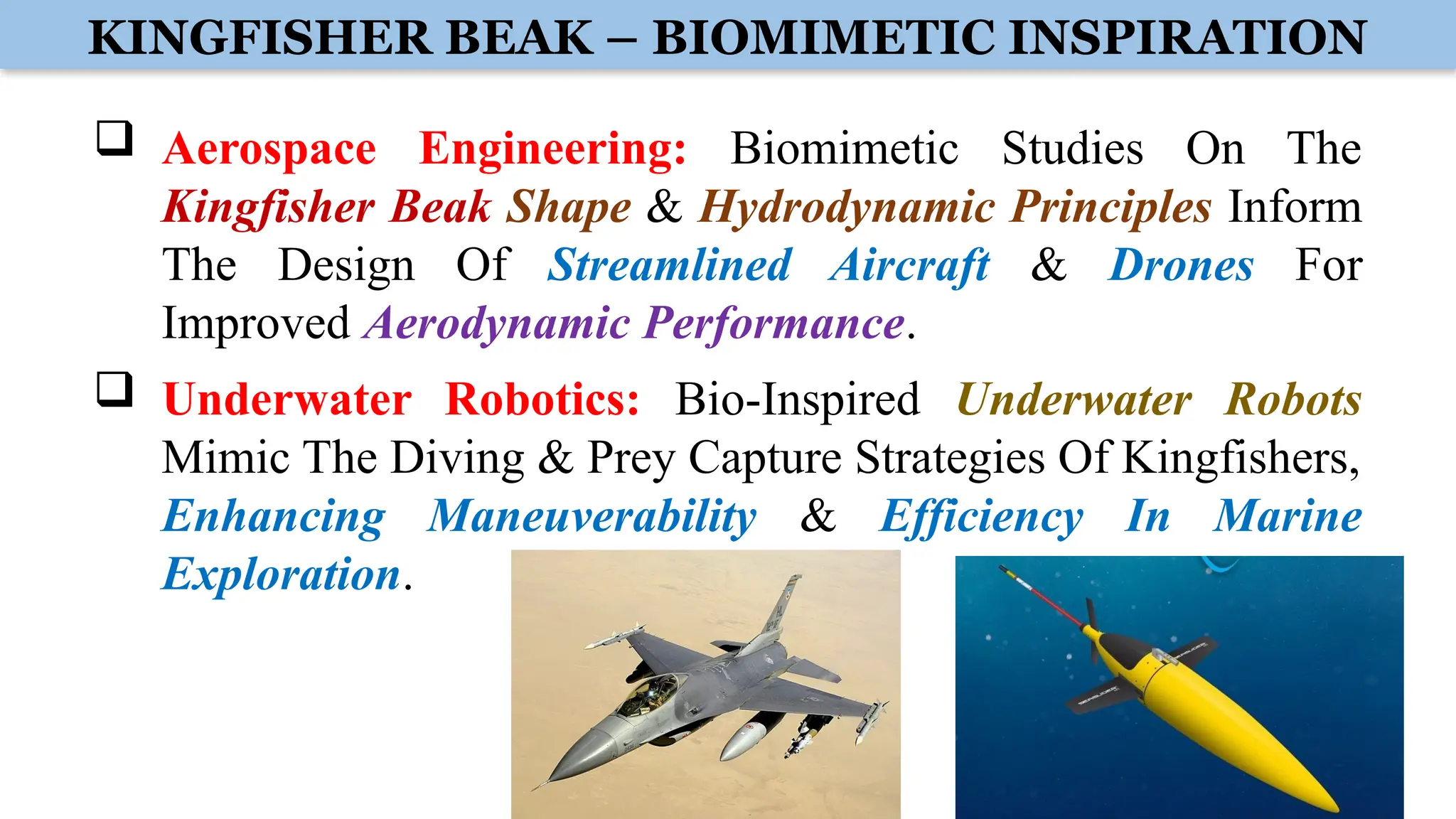 KINGFISHER BEAK – BIOMIMETIC INSPIRATION
 Aerospace Engineering: Biomimetic Studies On The
Kingfisher Beak Shape & Hydrodynamic Principles Inform
The Design Of Streamlined Aircraft & Drones For
Improved Aerodynamic Performance.
 Underwater Robotics: Bio-Inspired Underwater Robots
Mimic The Diving & Prey Capture Strategies Of Kingfishers,
Enhancing Maneuverability & Efficiency In Marine
Exploration.
 